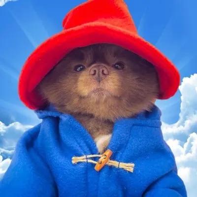 Bertram The Pomeranian logo