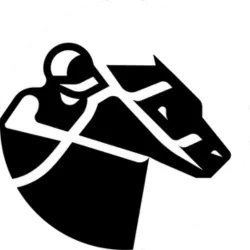 zkRace logo