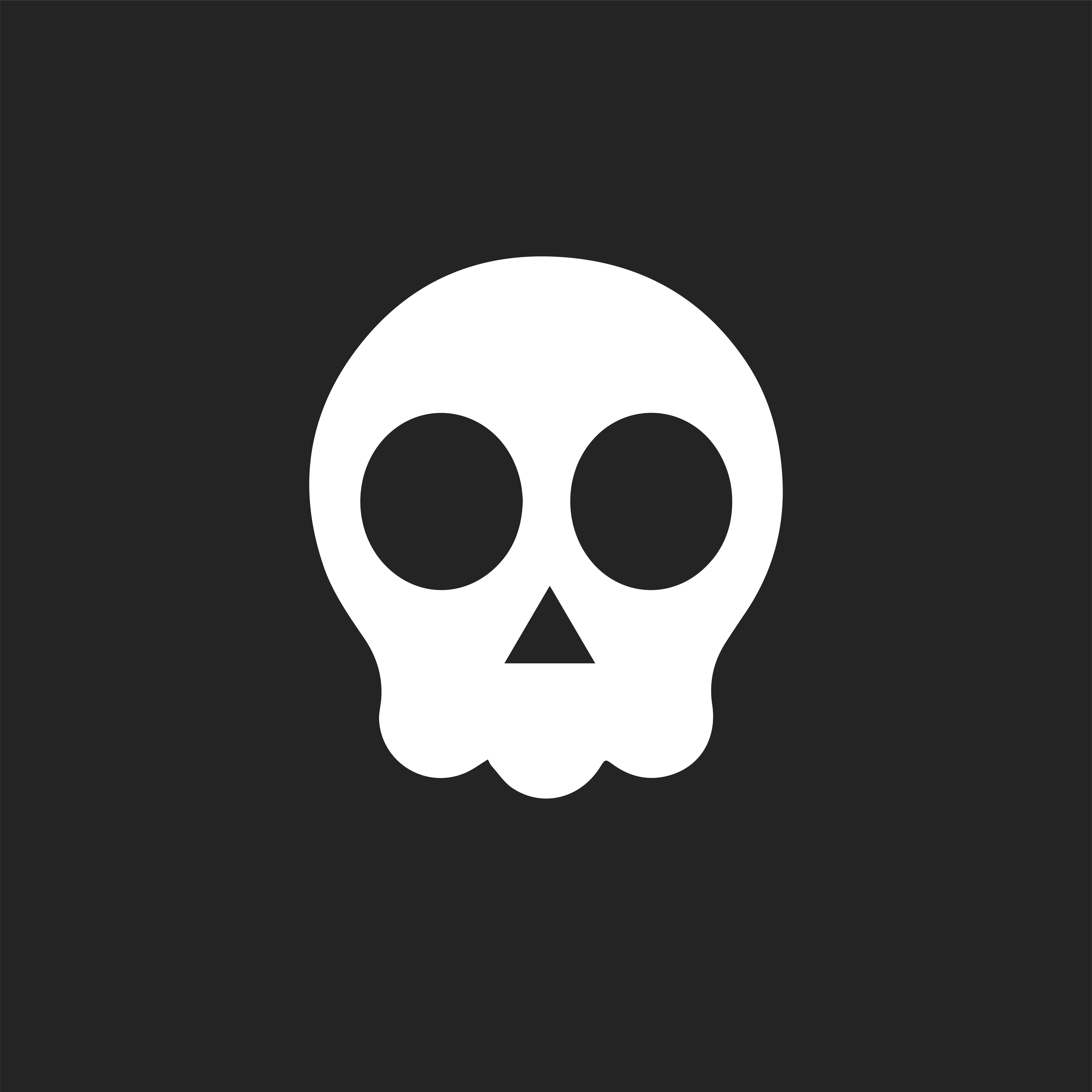 Sapiens Labs Inc logo